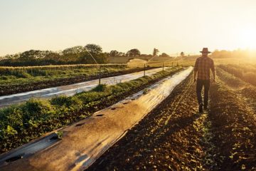 The 8 Lessons Entrepreneurs Could Learn From Farmers