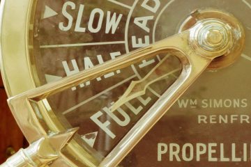 Is This the Golden Reason for Launching a Startup?