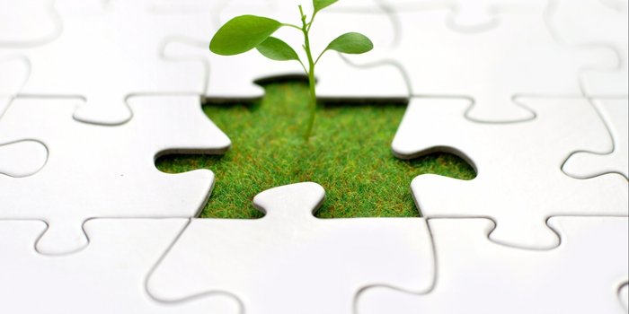 4 Reasons Why Entrepreneurship is Important