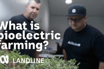 The science that is sparking a farming revolution | Landline
