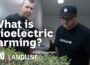 The science that is sparking a farming revolution | Landline
