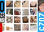 50 Things to Laser Engrave and Cut and Make Money in 2025 with a bonus inappropriate item – 10 Min